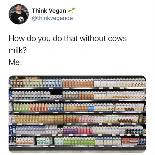 How do you do that without cows milk?