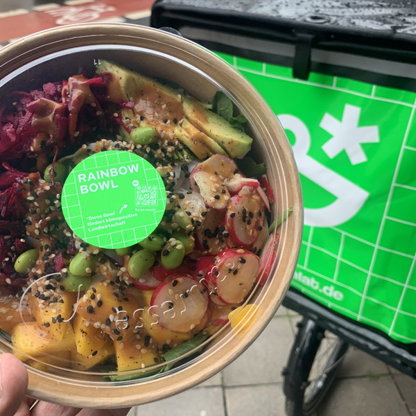 Rainbow Bowl Vegan bei Pottsalat