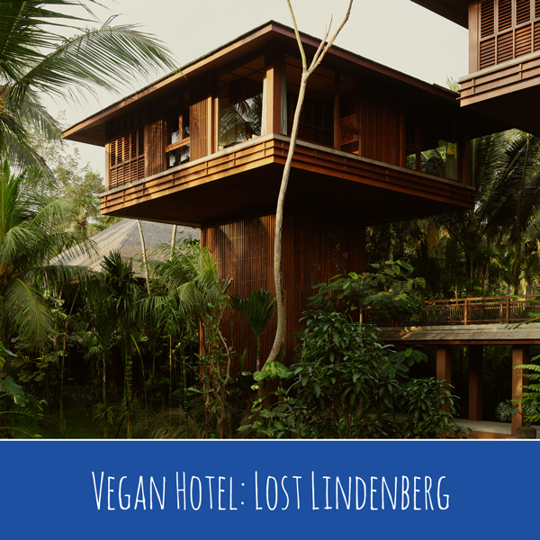 Vegan Hotel Lost Lindenberg - Indonesien