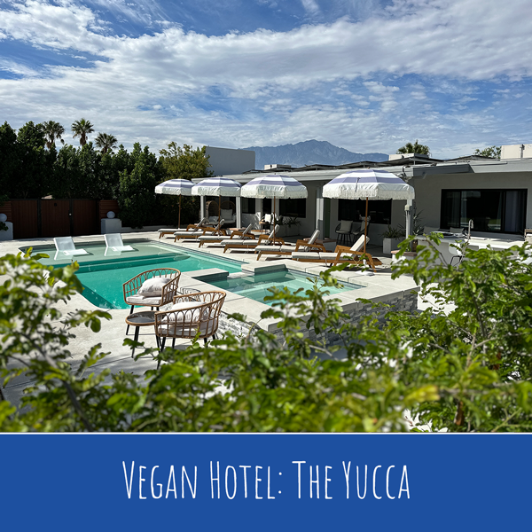 The Yucca - Vegan Hotel in Kalifornien // Vegan Reisen